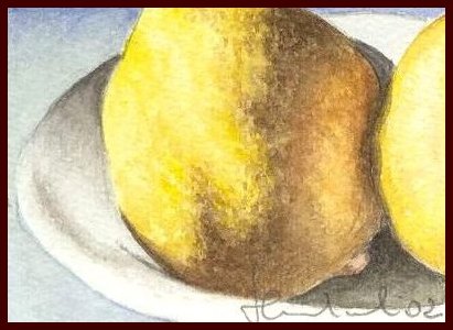 Vista doppia per limoni 1